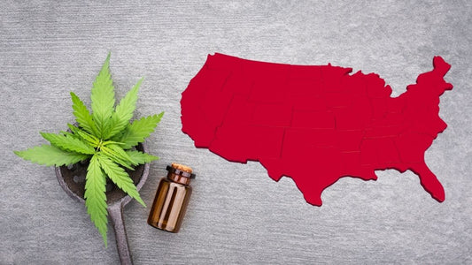 Is CBD Oil Legal In Tennessee?